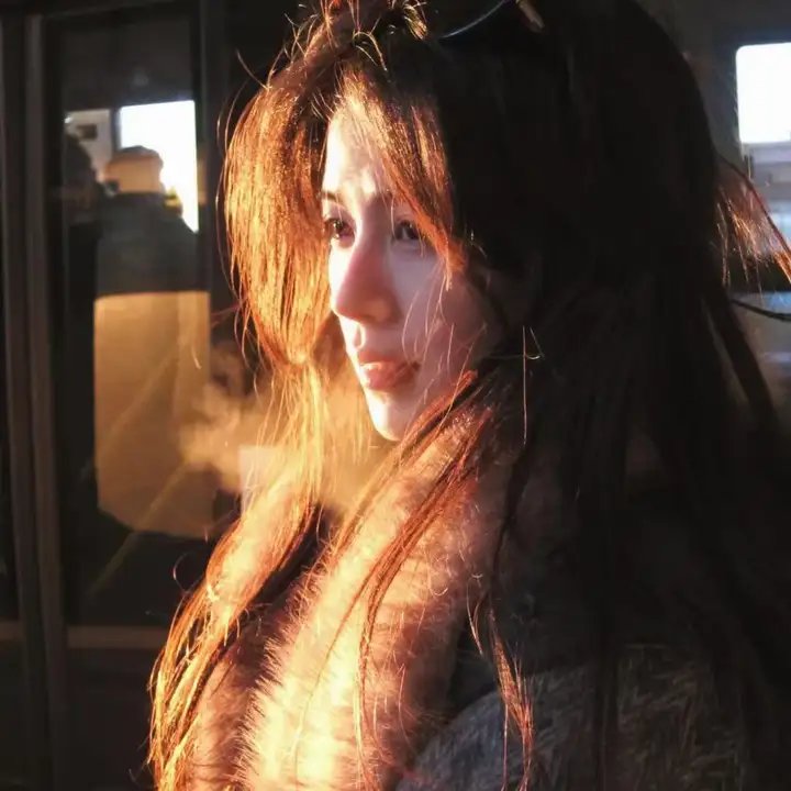 大搜查之女粤语